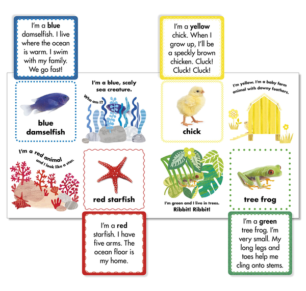 Бумажная книга «Animal Colours. Lift-the-flap Learning Fun!» - фото №1