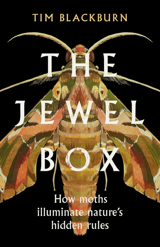 Бумажная книга «The Jewel Box», автор Тим Блэкберн - фото №1