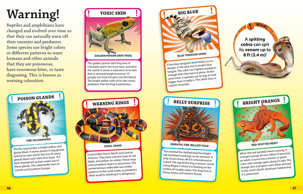 Бумажная книга «Dkfindout! Reptiles and Amphibians» - фото №1