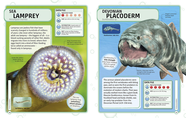 Бумажная книга «Sharks and Other Deadly Ocean Creatures. Visual Encyclopedia» - фото №1