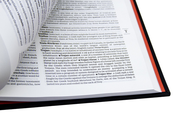 Паперова книга «Collins English Dictionary» - фото №1