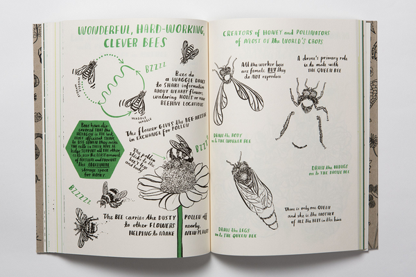 Паперова книга «Hello Nature. Draw, Collect, Make and Grow», автор Ніна Чакрабарті - фото №1