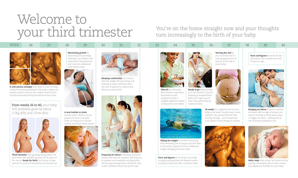 Бумажная книга «The Day-by-Day Pregnancy Book», автор Мэгги Блотт - фото №1