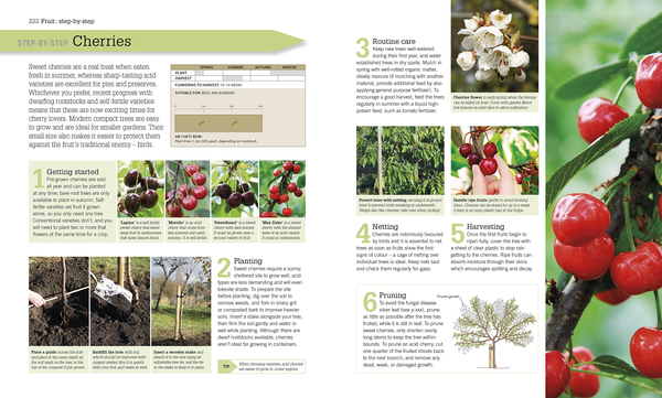 Бумажная книга «RHS Step-by-Step Veg Patch», автор Люси Халсолл - фото №1
