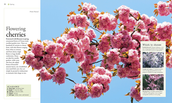 Бумажная книга «The Gardener's Year. Create, Care For, and Enjoy Your Garden Season by Season» - фото №1