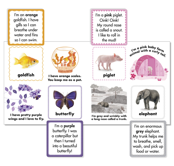 Бумажная книга «Animal Colours. Lift-the-flap Learning Fun!» - фото №1