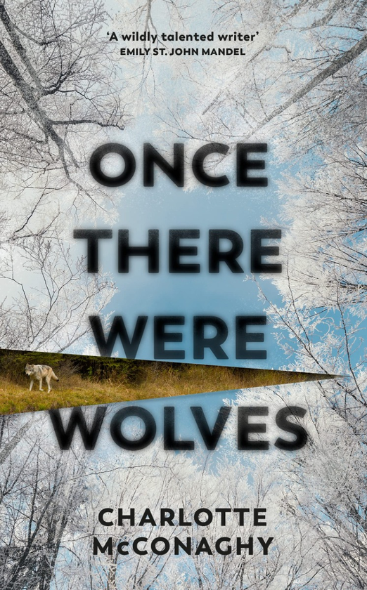 Бумажная книга «Once There Were Wolves», автор Шарлотта Макконай - фото №1