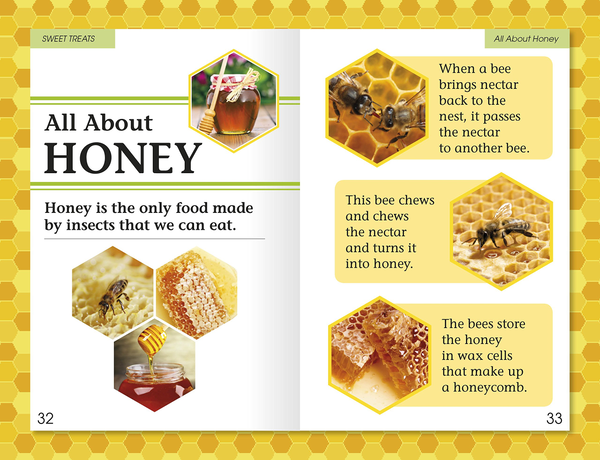 Бумажная книга «Amazing Bees. Buzzing with Bee Facts! » - фото №1