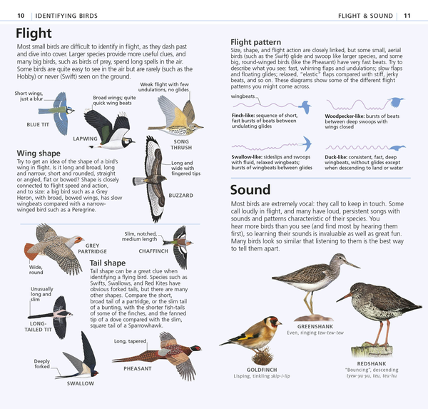 Паперова книга «RSPB What's that Bird? The Simplest ID Guide Ever» - фото №1
