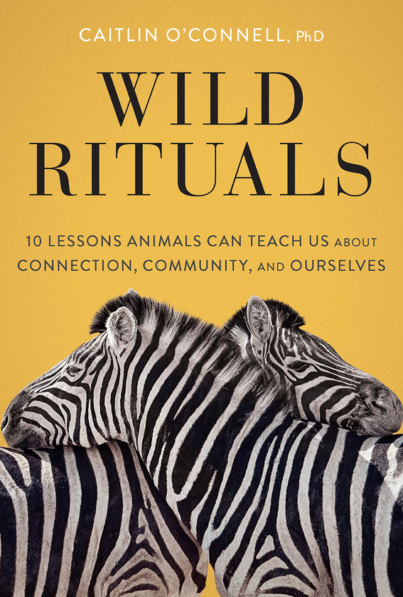 Бумажная книга «Wild Rituals», автор Кейтлин О'Коннелл - фото №1