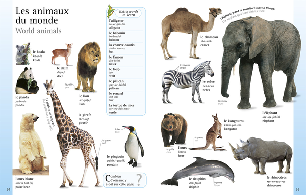 Бумажная книга «French Language Learner. Everything You Need to Get Talking» - фото №1