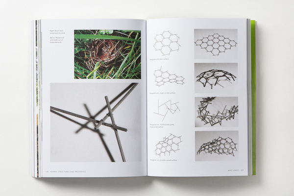 Бумажная книга «Biomorphic Structures. Architecture Inspired by Nature», автор Астериос Агатидис - фото №1