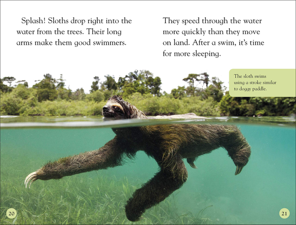 Бумажная книга «Sloths» - фото №1