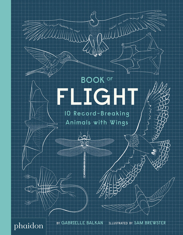 Бумажная книга «Book of Flight», автор Габриэль Балкан - фото №1