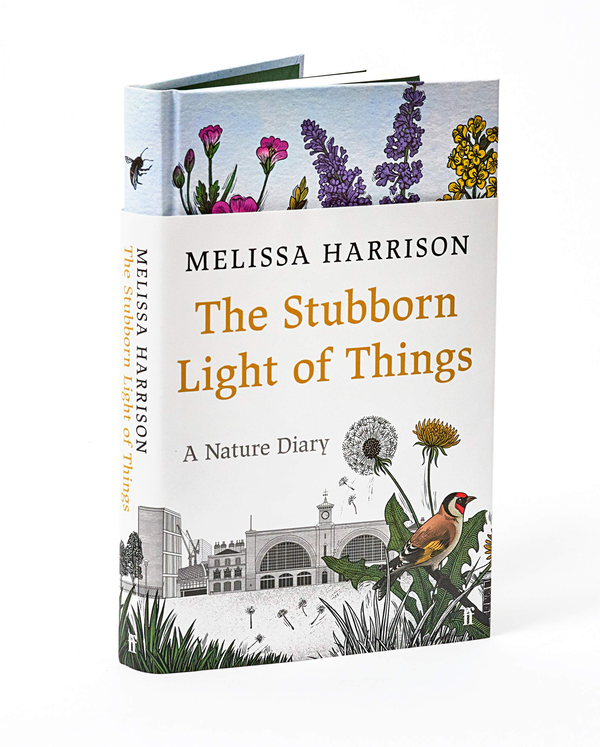 Паперова книга «The Stubborn Light of Things », автор Мелісса Харрісон - фото №1