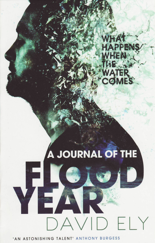 Бумажная книга «A Journal Of The Flood Year», автор Дэвид Эли - фото №1