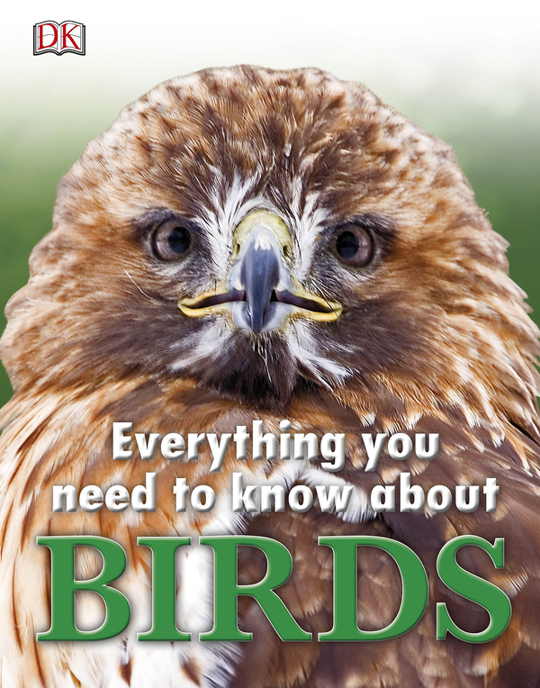 Бумажная книга «Everything You Need to Know About Birds» - фото №1