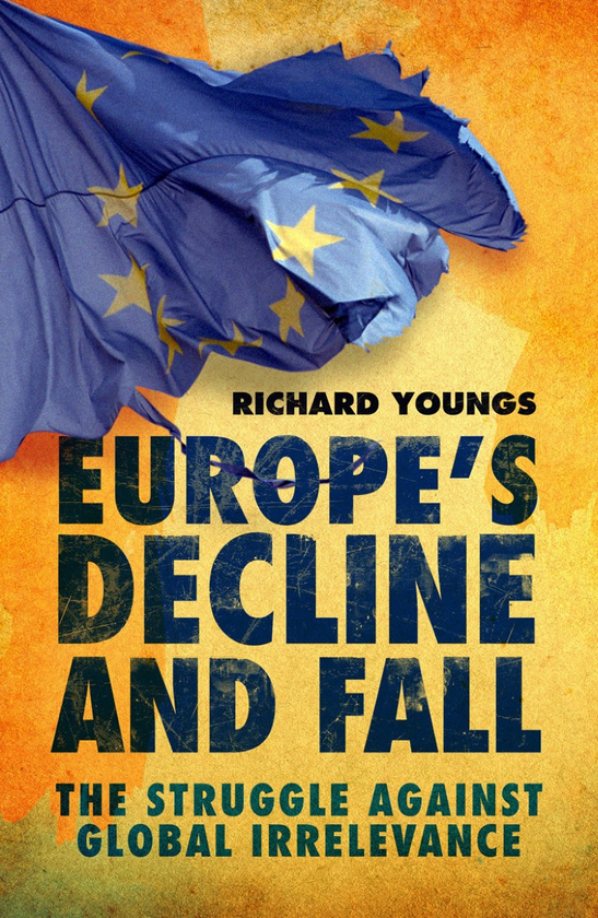 Бумажная книга «Europe's Decline and Fall. The Struggle Against Global Irrelevance», автор Ричард Янгс - фото №1