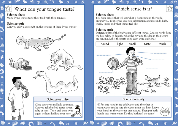 [object Object] «Science Made Easy Ages 5–6 Key Stage 1», автор Кэрол Вордерман - фото №2 - миниатюра