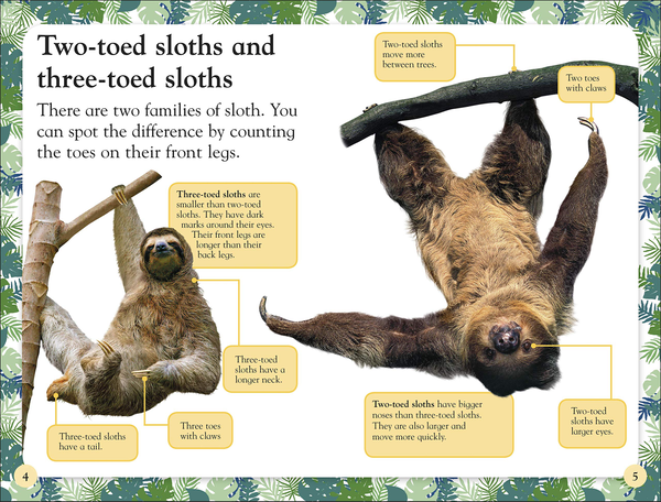 Бумажная книга «Sloths» - фото №1