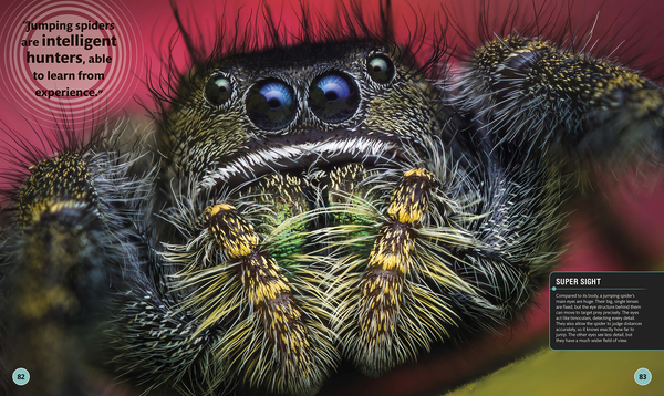Бумажная книга «SuperBug» - фото №1