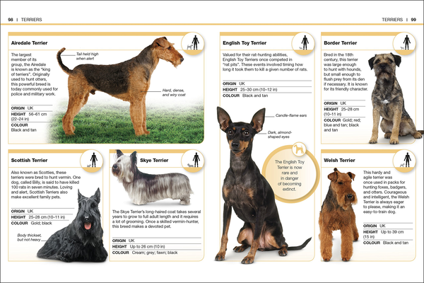 Паперова книга «Dogs. Facts at Your Fingertips» - фото №1