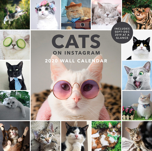 Паперова книга «Cats on Instagram. 2020 Wall Calendar» - фото №1