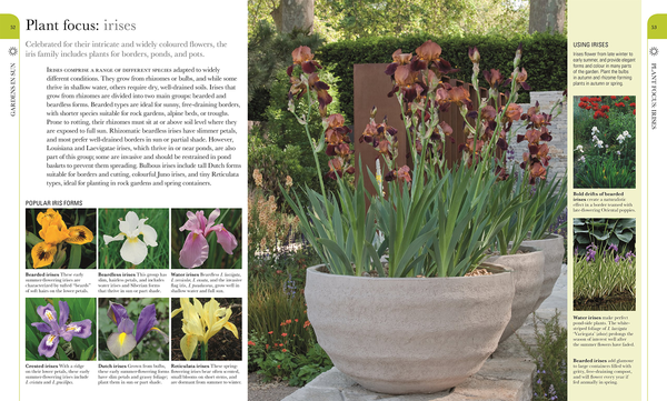 Бумажная книга «RHS What Plant Where Encyclopedia» - фото №1