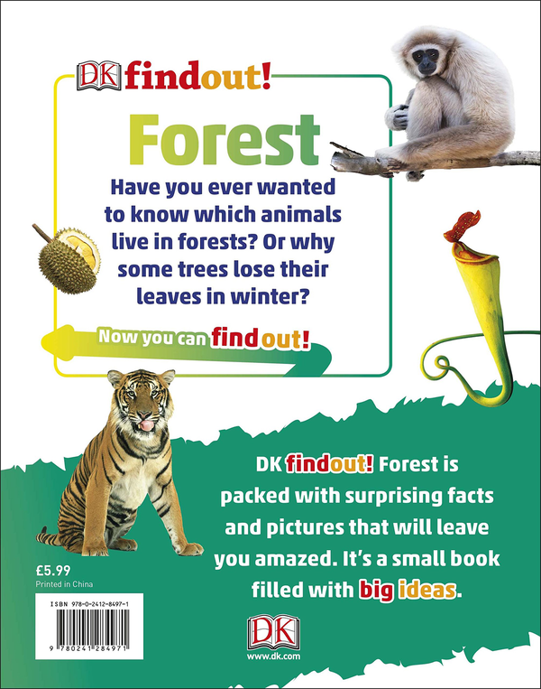 Бумажная книга «DKfindout! Forest» - фото №1