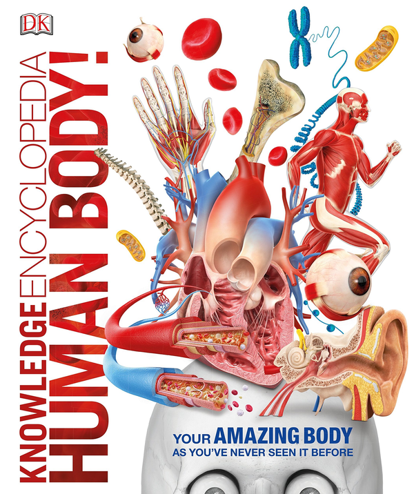 Бумажная книга «Knowledge Encyclopedia Human Body!» - фото №1