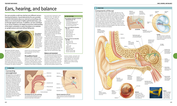 Бумажная книга «BMA Complete Home Medical Guide. The Essential Reference for Every Family» - фото №1