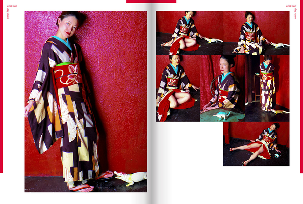 Бумажная книга «Nobuyoshi Araki: Hi-Nikki », автор Нобуеси Араки - фото №1