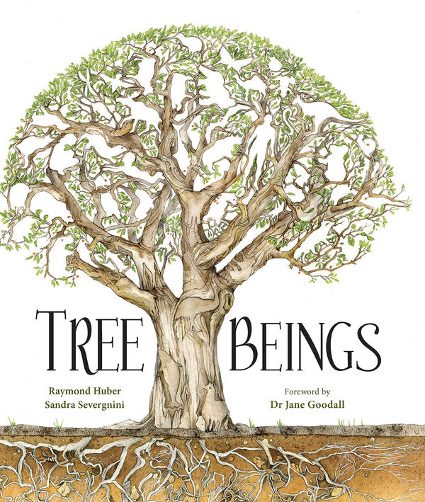 Бумажная книга «Tree Beings», авторов Раймонд Хубер, Сандра Севернини - фото №1