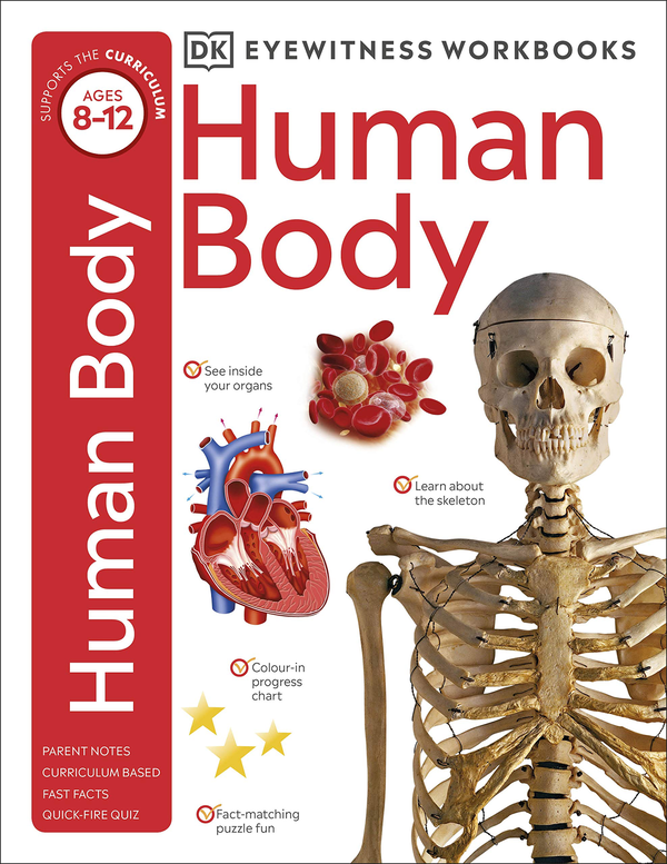 Бумажная книга «Human Body Workbook» - фото №1