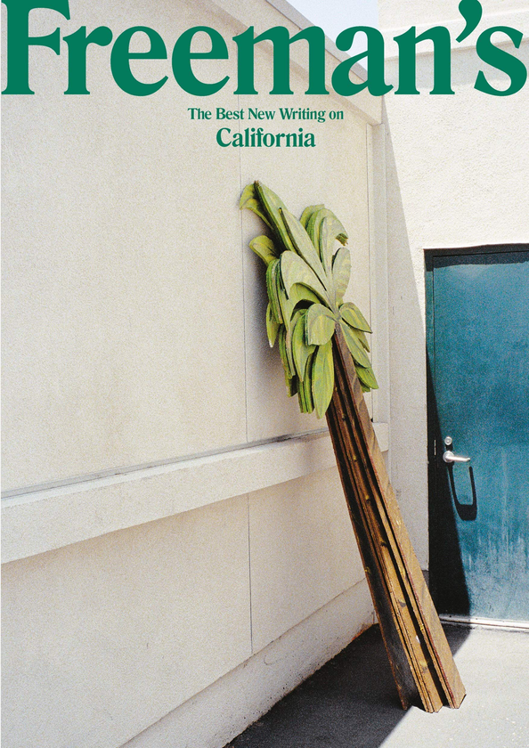 Паперова книга «Freeman's California», автор Джон Фріман - фото №1