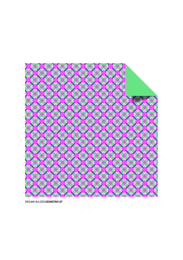 Бумажная книга «192 Origami Folding Papers in Geometric Patterns» - фото №1