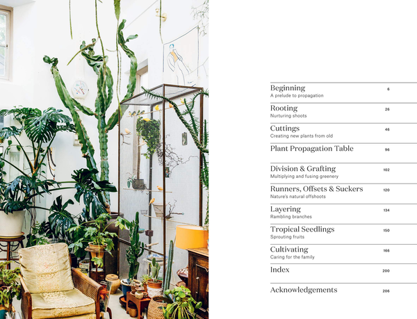 Бумажная книга «Root, Nurture, Grow: The Essential Guide to Propagating and Sharing Houseplants», авторов Каро Лангтон, Роуз Рэй - фото №1
