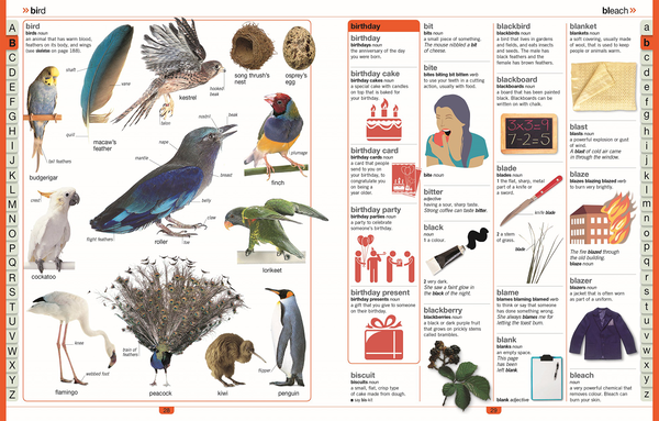 Бумажная книга «Children's Illustrated Dictionary», автор Джон Макилвейн - фото №1