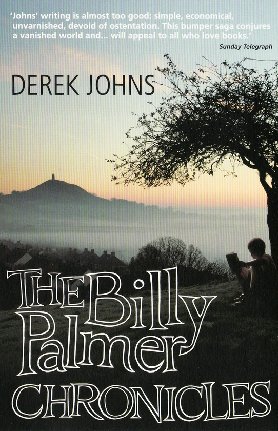 Бумажная книга «The Billy Palmer Chronicles», автор Дерек Джонс - фото №1