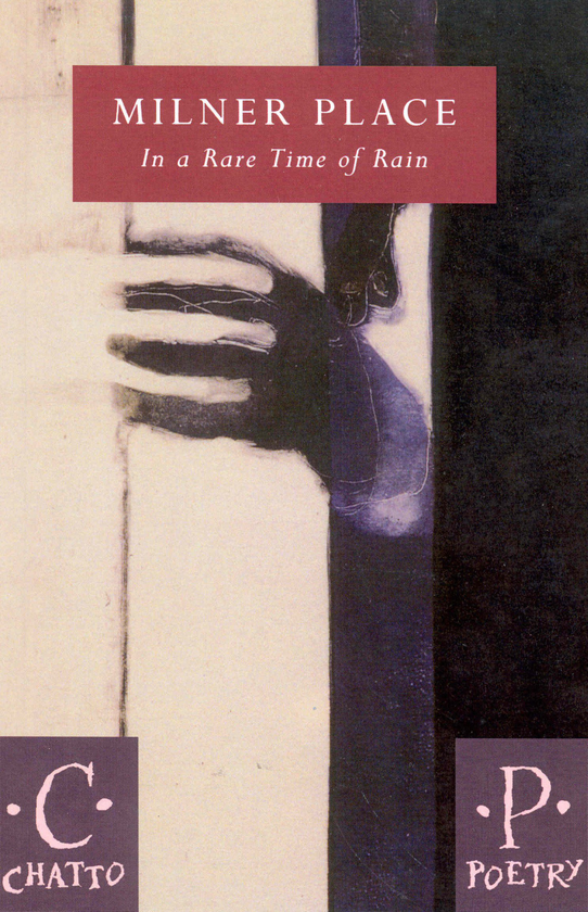 Бумажная книга «In A Rare Time Of Rain» - фото №1