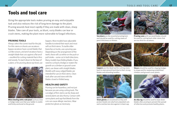 Паперова книга «RHS Pruning Plant by Plant. How to Prune more than 200 Popular Plants» - фото №1