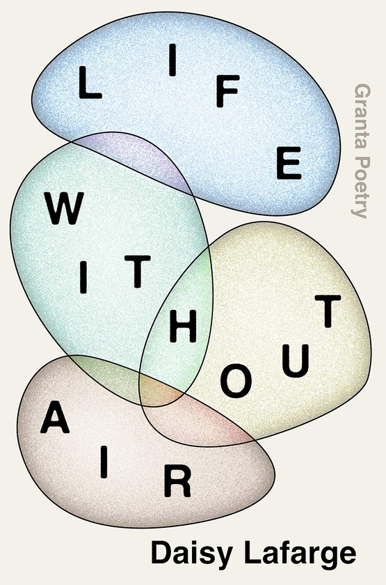 Бумажная книга «Life Without Air», автор Дейзи Лафарж - фото №1