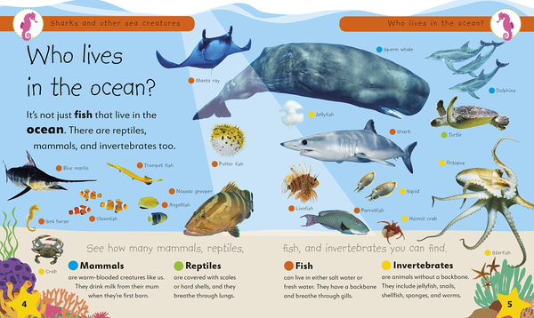 Бумажная книга «Sharks and Other Sea Creatures. Full of Fun Facts and Activities» - фото №1