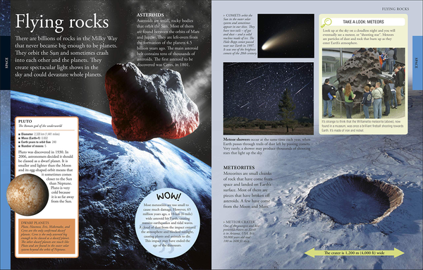 Бумажная книга «The New Children's Encyclopedia. Packed with Thousands of Facts, Stats, and Illustrations» - фото №1