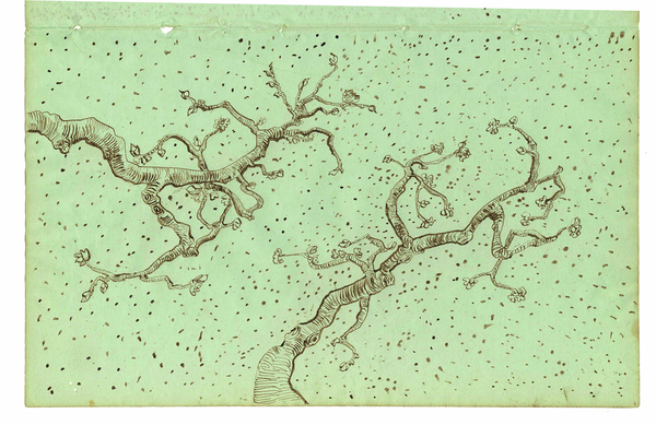 Бумажная книга «Vincent van Gogh. The Lost Arles Sketchbook», автор Богомила Уэлш-Овчаров - фото №1