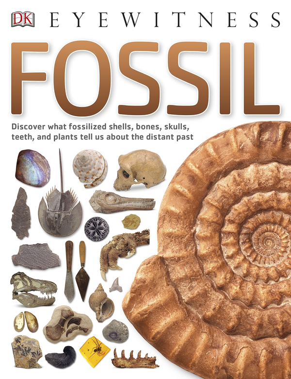 Бумажная книга «Fossil» - фото №1