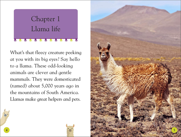 Бумажная книга «Llamas» - фото №1