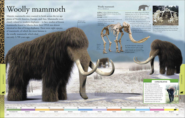 Бумажная книга «Dinosaurs A Children's Encyclopedia» - фото №1