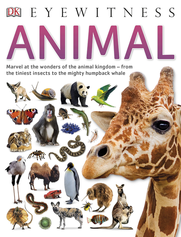 Бумажная книга «Animal» - фото №1