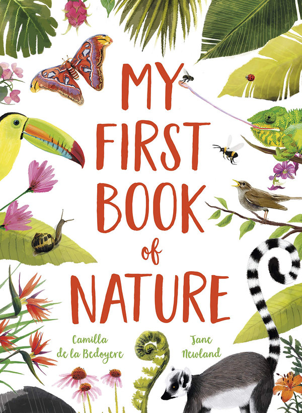 Паперова книга «My First Book of Nature», автор Камілла де ла Бедуайер - фото №1
